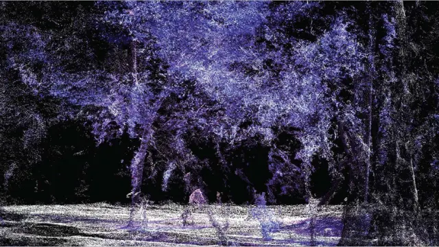 A three-dimensional point-cloud recording of the garden landscape.
