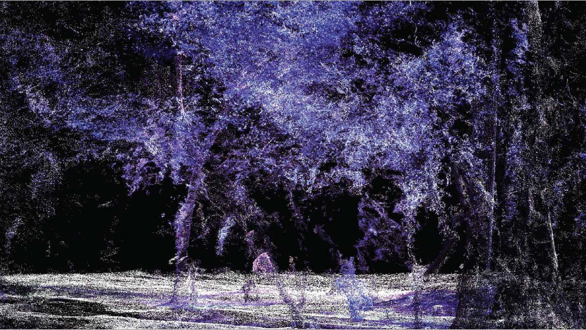 A three-dimensional point-cloud recording of the garden landscape.